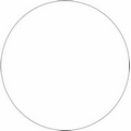 Large Stik-Withit Stock Die-Cut Large Circle Notepad